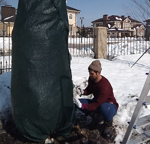 Профессиональное укрытие сада к зиме